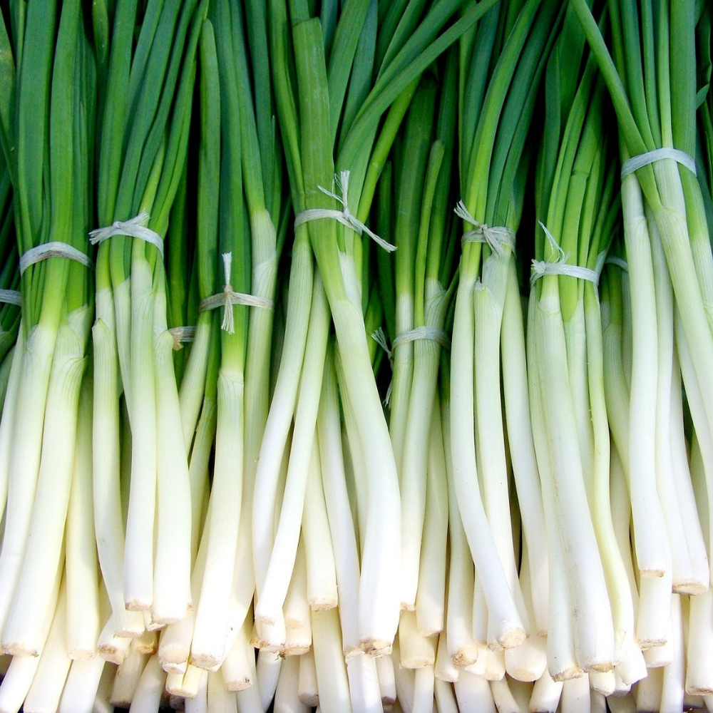 Spring Onion - Bunch (160g approx)