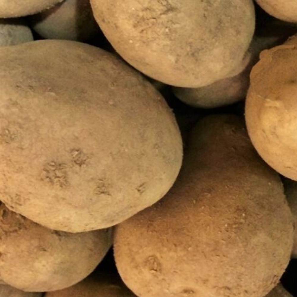 Maris Piper Potatoes (1KG)