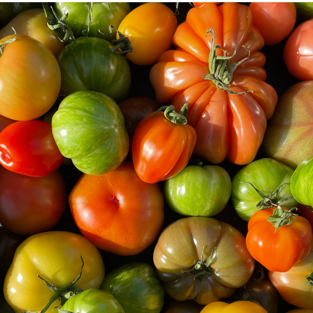 UK Heirloom Tomatoes - 400g