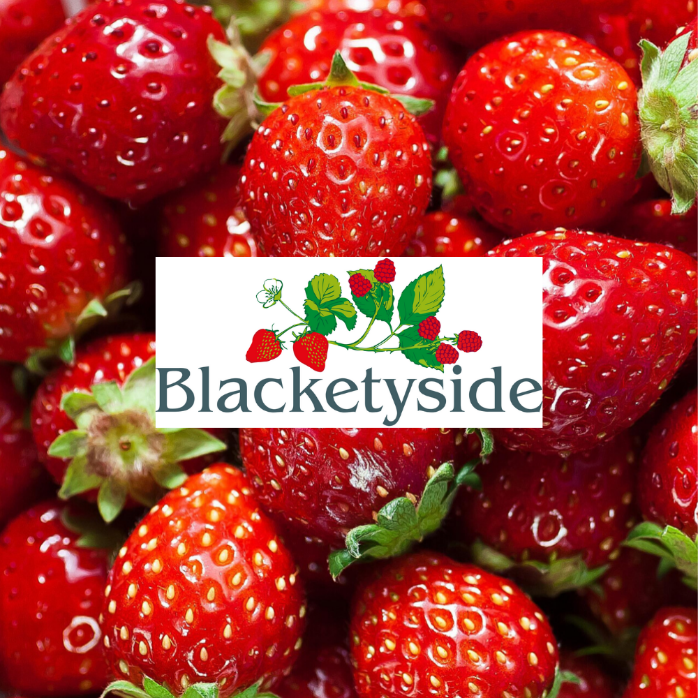 Scottish Strawberries - 250g Punnet  - Blacketyside - Fife