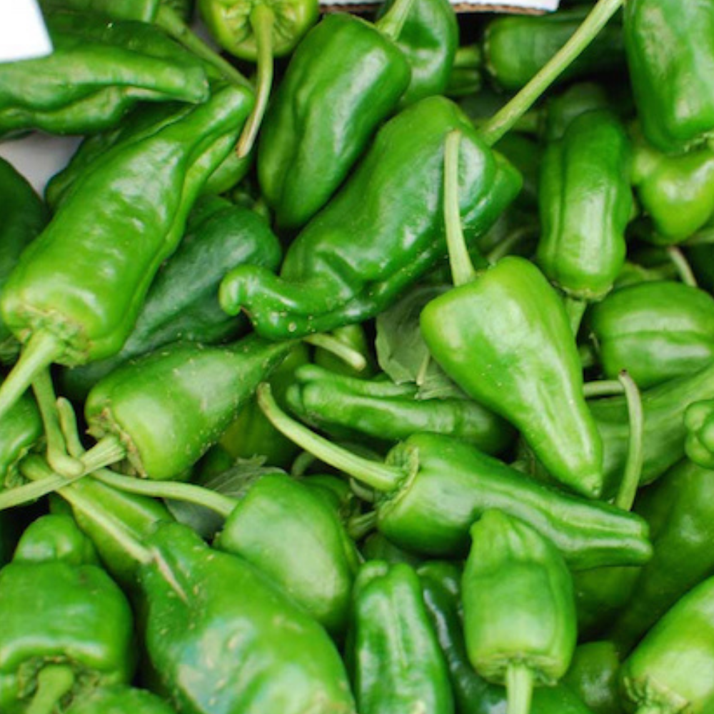 Padron Peppers - 200g